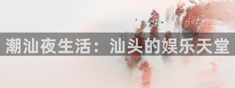 摩登7lite登录入口：潮汕夜生活：汕头的娱乐天堂