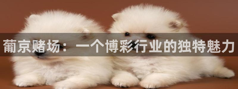 摩登7平台：葡京赌场：一个博彩行业的独特魅力
