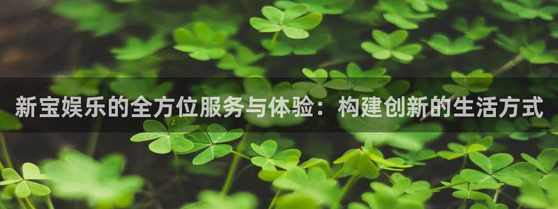 摩登7官网：新宝娱乐的全方位服务与体验：构建创新的生活方式