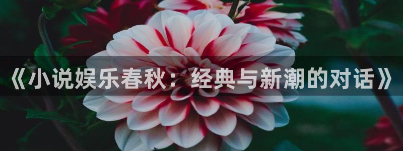 摩登7登录官网：《小说娱乐春秋：经典与新潮的对话》