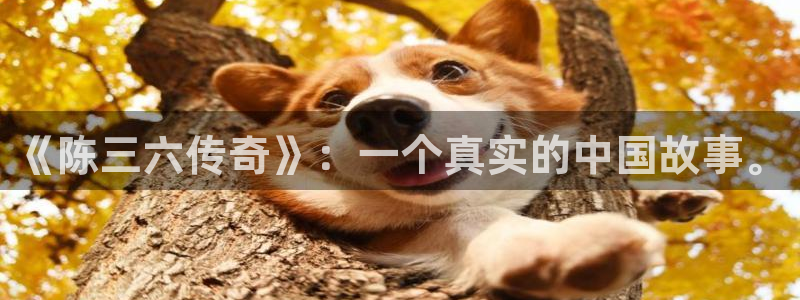 摩登7平台注册：《陈三六传奇》：一个真实的中国故事。