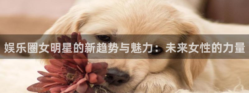 摩登7登录注册：娱乐圈女明星的新趋势与魅力：未来女性的力量
