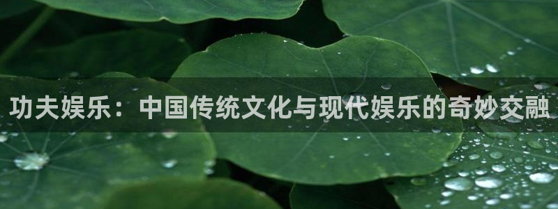 摩登7 lite注册：功夫娱乐：中国传统文化与现代娱乐的奇妙交融