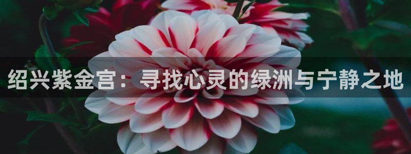 摩登7登录：绍兴紫金宫：寻找心灵的绿洲与宁静之地